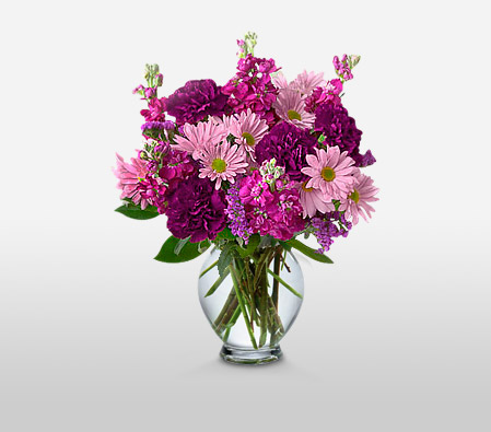 Majestic-Mixed,Pink,Purple,Carnation,Daisy,Arrangement