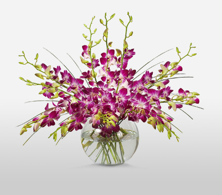 Purple Drops <Br><span>Complimentary Vase </span>