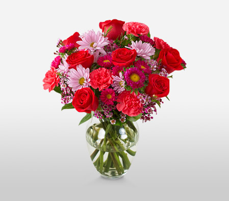 Paradise-Pink,Red,Carnation,Daisy,Mixed Flower,Rose,Arrangement