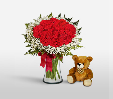 Joy-Red,Carnation,Teddy,Bouquet