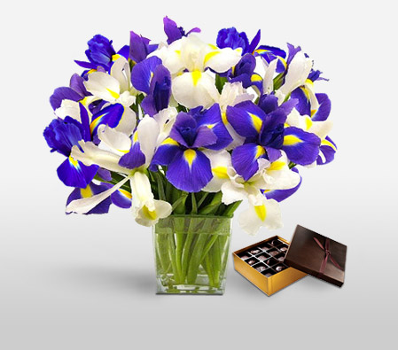 Azure Magic Combo-Blue,White,Chocolate,Iris,Bouquet