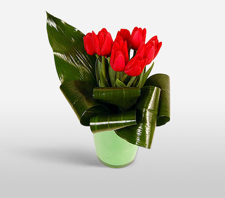 Tulip Love-Red,Tulip,Arrangement