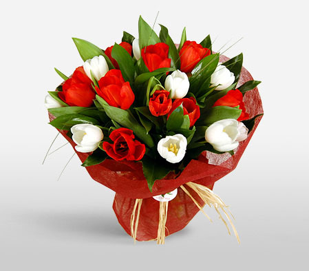 Romantic Gift-Red,White,Tulip,Bouquet