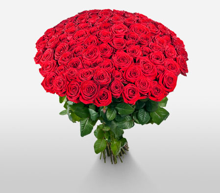 Hot Hundred-Red,Rose,Bouquet