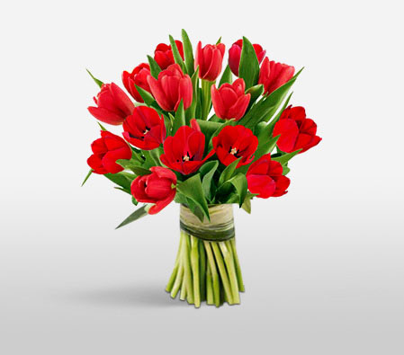 Red Tulips-Red,Tulip,Bouquet