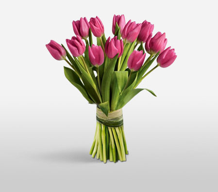 Tulips Kingdom-Lavender,Pink,Tulip,Bouquet