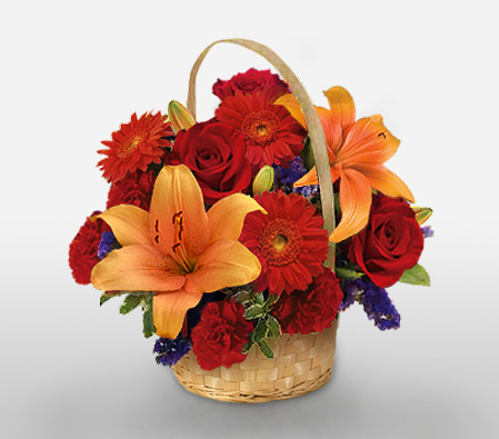 Flaming Hues - Mixed Arrangement-Orange,Red,Carnation,Gerbera,Lily,Rose,Arrangement,Basket