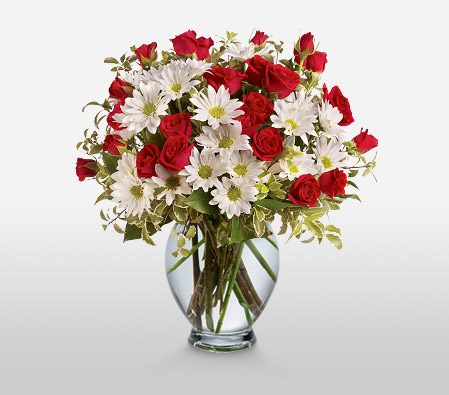 Roses And Daisies-Red,White,Rose,Chrysanthemum,Daisy,Arrangement