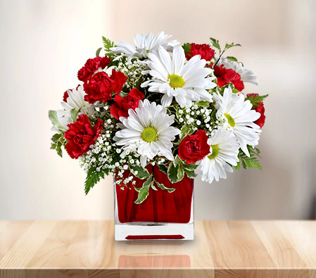 Red And White Delight-Red,White,Chrysanthemum,Gerbera,Arrangement,Bouquet