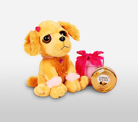 Fancy Dog-Chocolate,Soft Toys,Gifts