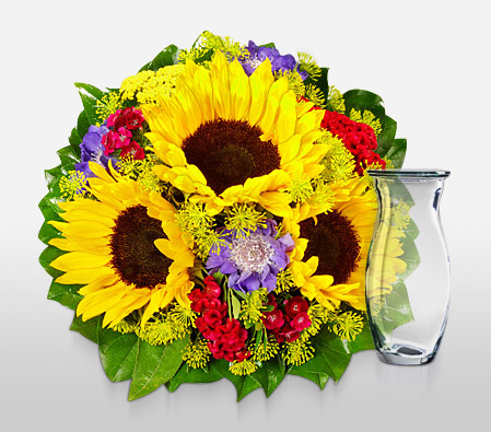 Golden Goal <Br><span>Sunflowers & Carnations - Free Vase </span>