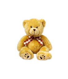 Teddy Bear (Small)