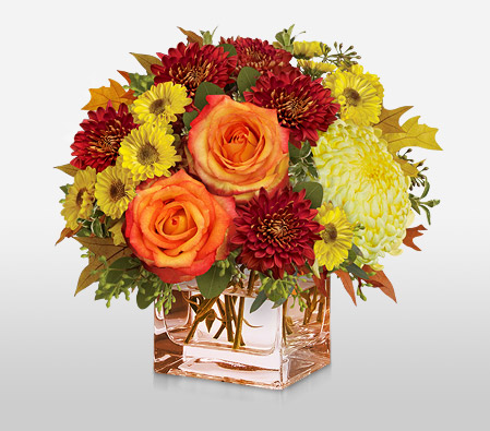 Subtly Sensational-Mixed,Orange,Red,Yellow,Chrysanthemum,Daisy,Rose,Arrangement