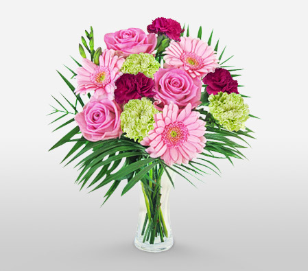 Dazzling Delight <span>Roses + Carnations + Gerberas<span>
