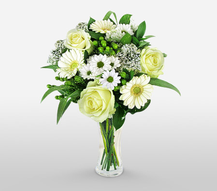 Gracefully Yours-Green,White,Chrysanthemum,Gerbera,Rose,Bouquet