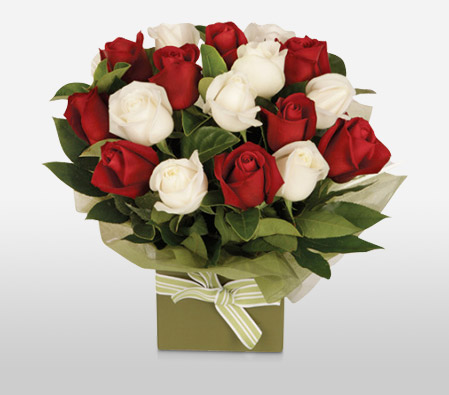 Romantico - 18 Red & White Roses-Red,White,Rose,Arrangement