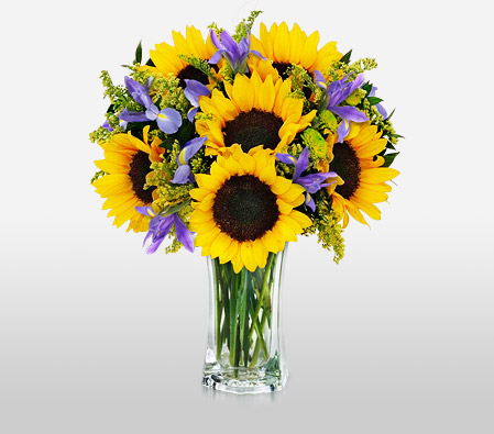 Cheerful Sunflowers-Purple,Yellow,SunFlower,Arrangement