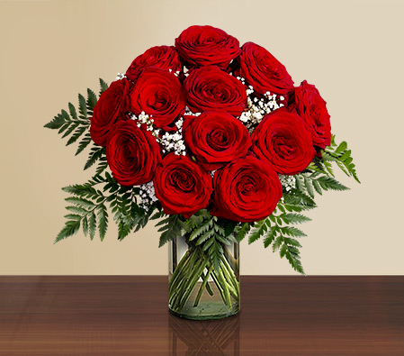 1 Dozen Red Roses In Vase-Red,Rose,Arrangement