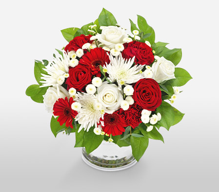 Dawning Glory-Green,Red,White,Carnation,Gerbera,Rose,Arrangement,Bouquet