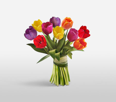 Colorful Tulips-Mixed,Tulip,Bouquet