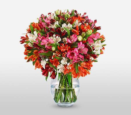 Luxurious Blooms <Br><span>Multi Color Bouquet</span>
