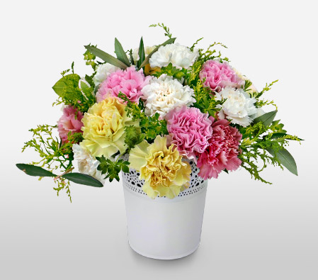 Happy dreams - Colorful Carnations-Colorful,Carnations,Pot,Pink,Yellow
