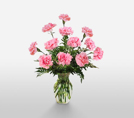 Carnation Vase-Pink,Carnation,Arrangement