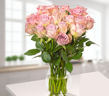 Wonderful Light Pink Roses