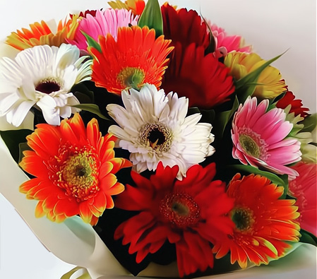 Bouquet of Colorful Gerberas