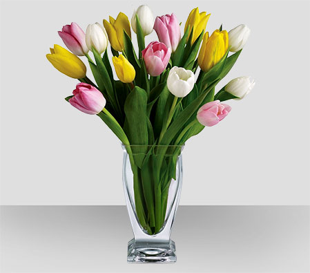 Radiant Tulips for Mom