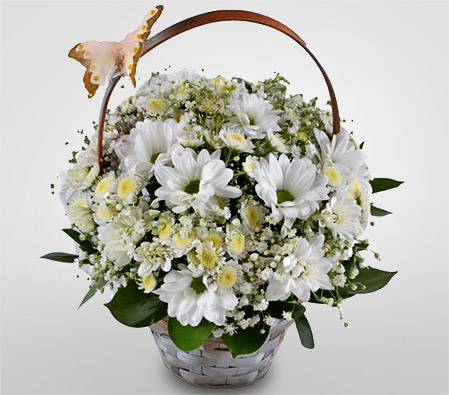 Thumbelina - Chrysanthemum Bouquet