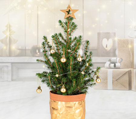 Gold Letterbox Christmas Tree