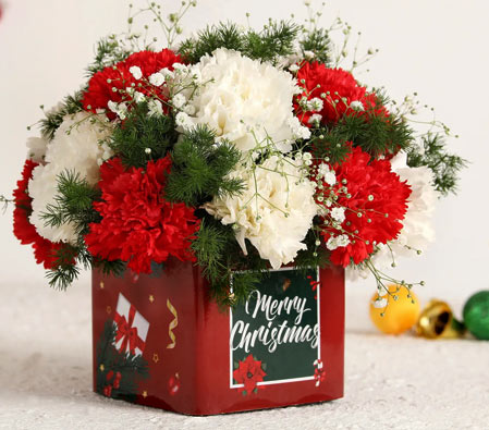 Merry Christmas Carnations Bunch