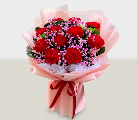 Lovers Rejoice - 11 Carnations Bouquet