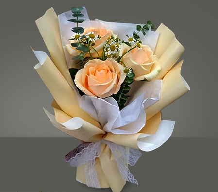 For You - 3 Peach Roses