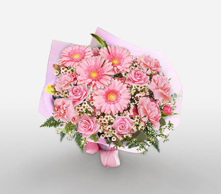 In The Pink Bouquet-Pink,Carnation,Gerbera,Bouquet