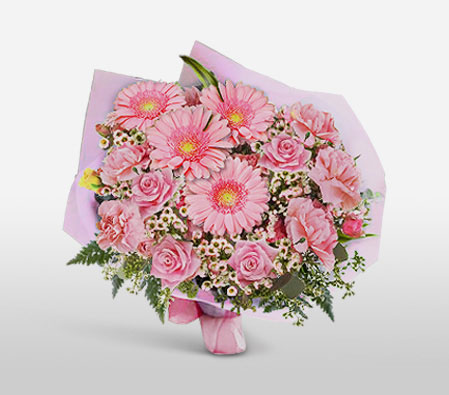 Pche Bliss-Pink,Carnation,Daisy,Gerbera,Mixed Flower,Rose,Bouquet