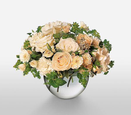 White Hand Tied-White,Carnation,Rose,Arrangement,Bouquet