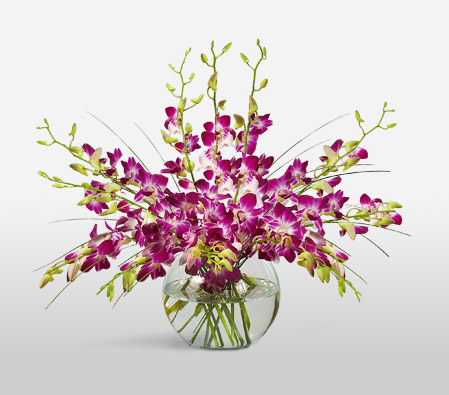 Purple Drops-Pink,Orchid,Arrangement