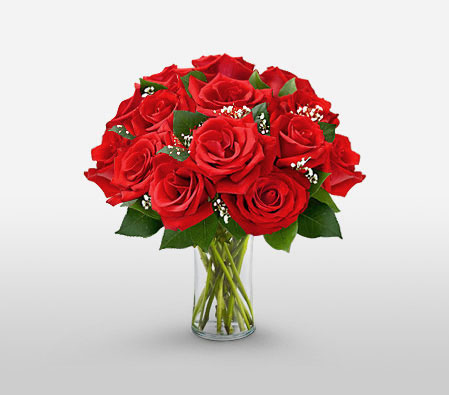 12 Red Roses In A Vase-Red,Rose,Arrangement