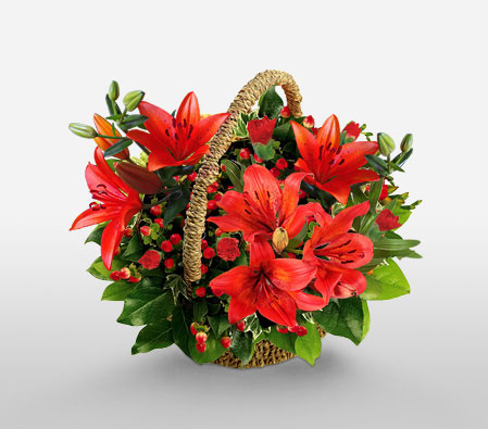 Festive Holiday Arrangement-Red,Lily,Carnation,Arrangement,Basket