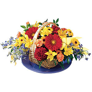 Crescendo Of Color-Mixed,Red,Yellow,Alstroemeria,Daisy,Mixed Flower,Arrangement