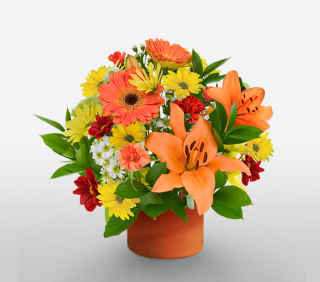 Blossom Arrangement-Mixed,Orange,Red,Yellow,Carnation,Daisy,Lily,Mixed Flower,Bouquet