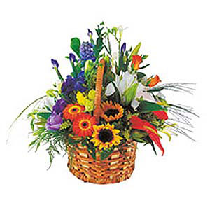 First Bloom-Mixed,Daisy,Gerbera,Iris,Mixed Flower,SunFlower,Arrangement,Basket