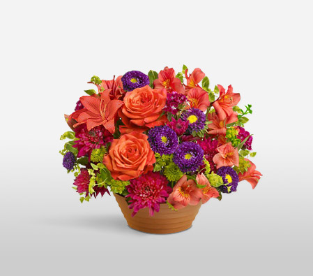 Rushmore-Mixed,Orange,Purple,Red,Alstroemeria,Chrysanthemum,Lily,Mixed Flower,Rose,Arrangement