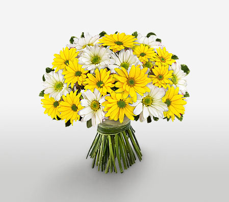 Cheery Chrysanthemums-White,Yellow,Daisy,Gerbera,Bouquet