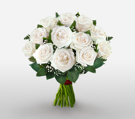 One Dozen White Roses-White,Rose,Bouquet