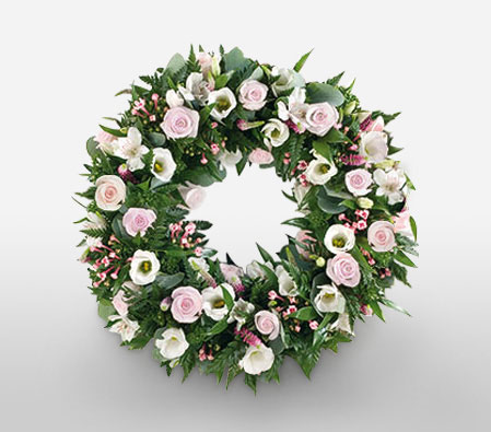 Innocent White-Wreath,Sympathy