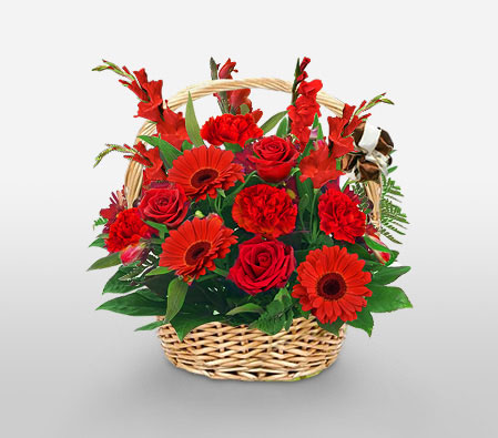 Festive Holiday Arrangement-Green,Red,Carnation,Daisy,Gerbera,Rose,Arrangement,Basket