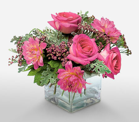 Mystical Dreams - Pink Flowers in Cube Vase-Pink,Dahlia,Gerbera,Rose,Arrangement